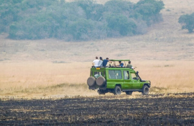 Game Drive in Rwanda