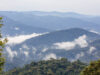 Top 10 Things to Do in Rwanda Nyungwe Forest